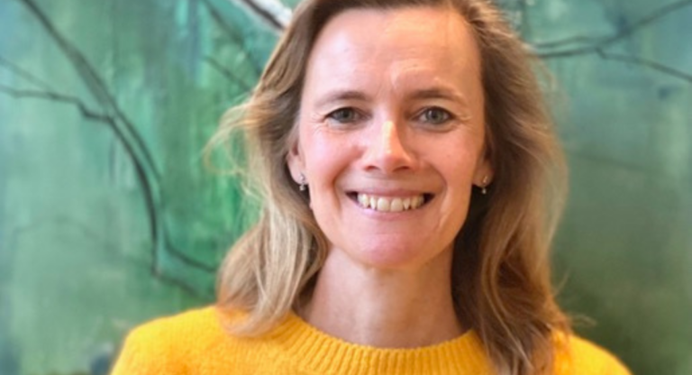 Dimension photo Wp 4 1 768x416